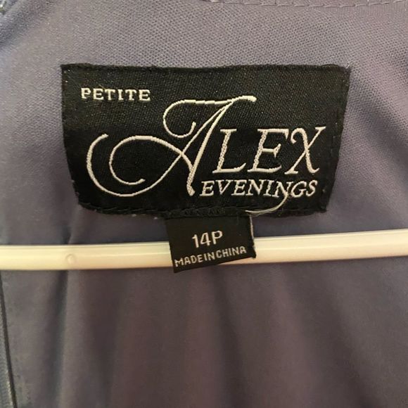 ALEX EVENINGS NAVY BLUE SILVER ROSETTE EMBROIDERED FLARE DRESS size 14P - Picture 4 of 10